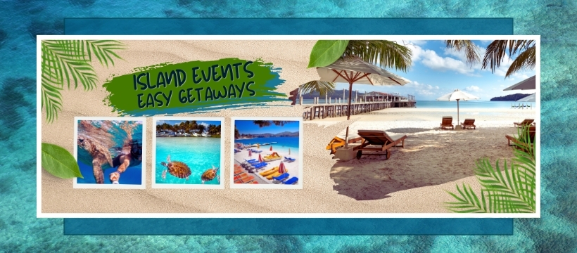 Caribbean beach, sea turtles and island adventures